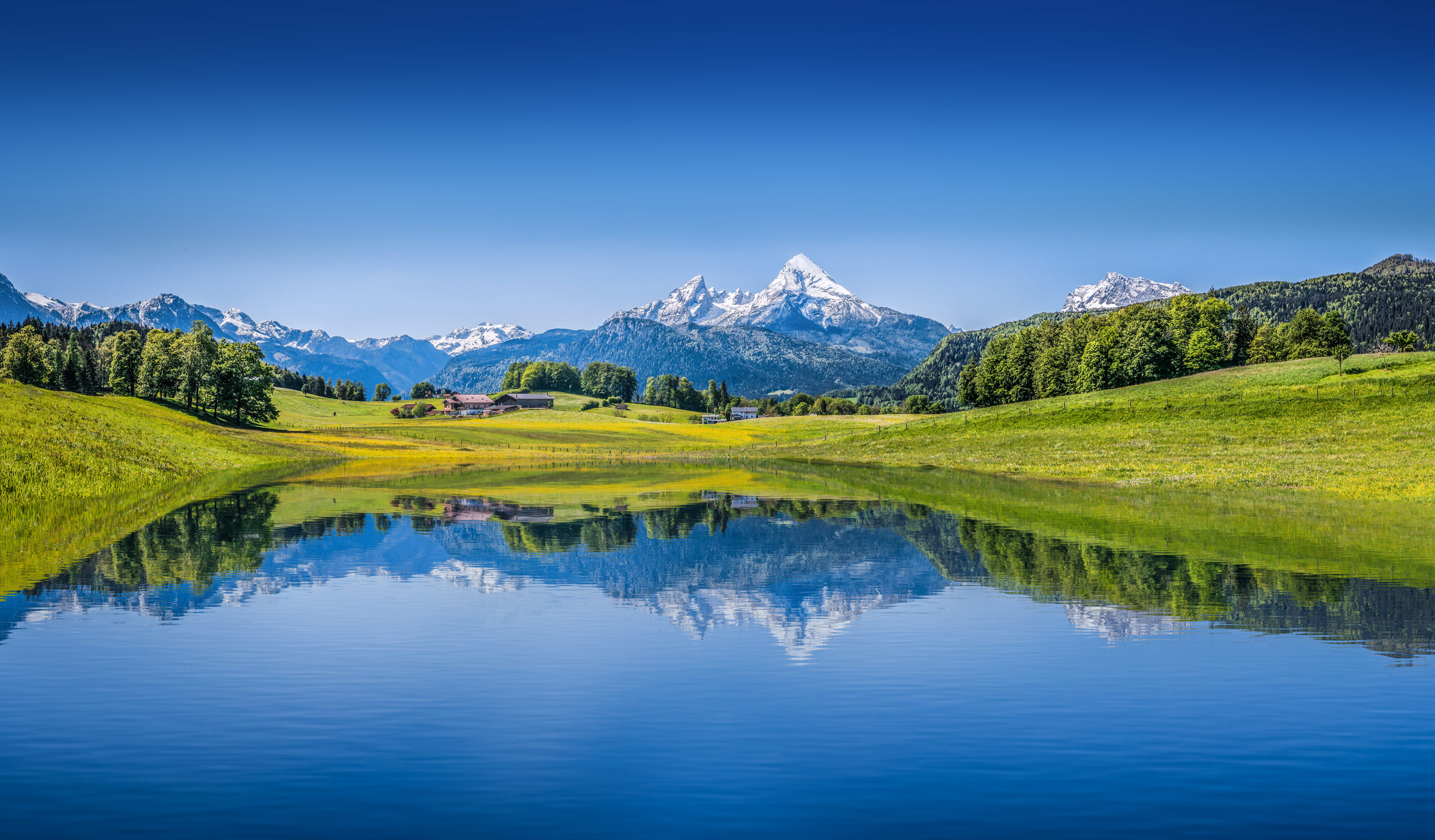 Swiss Alps and mountain meadows